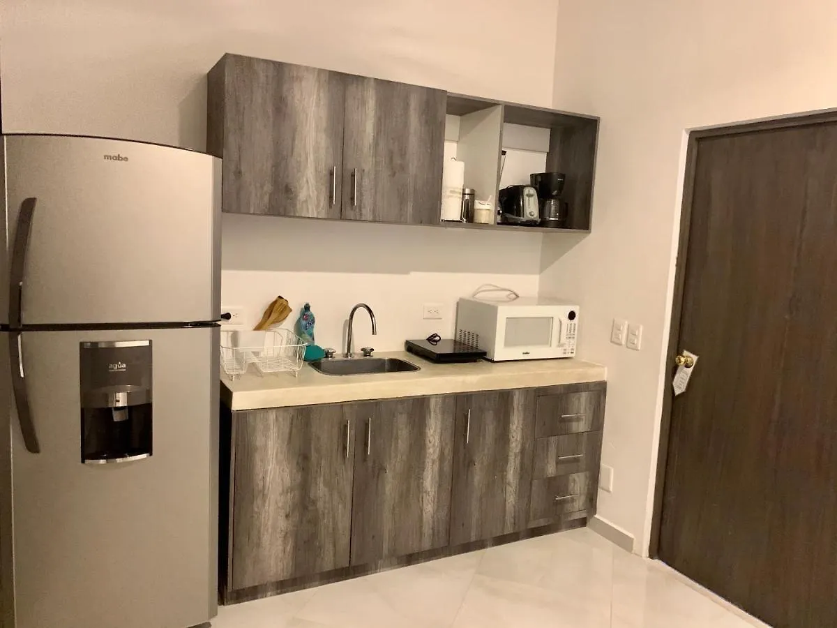Silversands Hotel Boutique - 5Th Ave Плая-дель-Кармен 5*,  Мексика