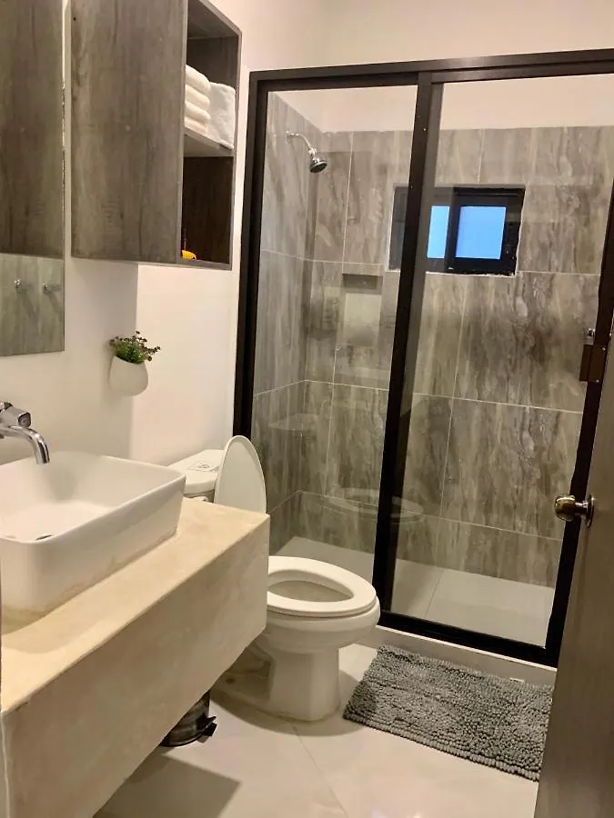 Silversands Hotel Boutique - 5Th Ave Плая-дель-Кармен 5*,  Мексика