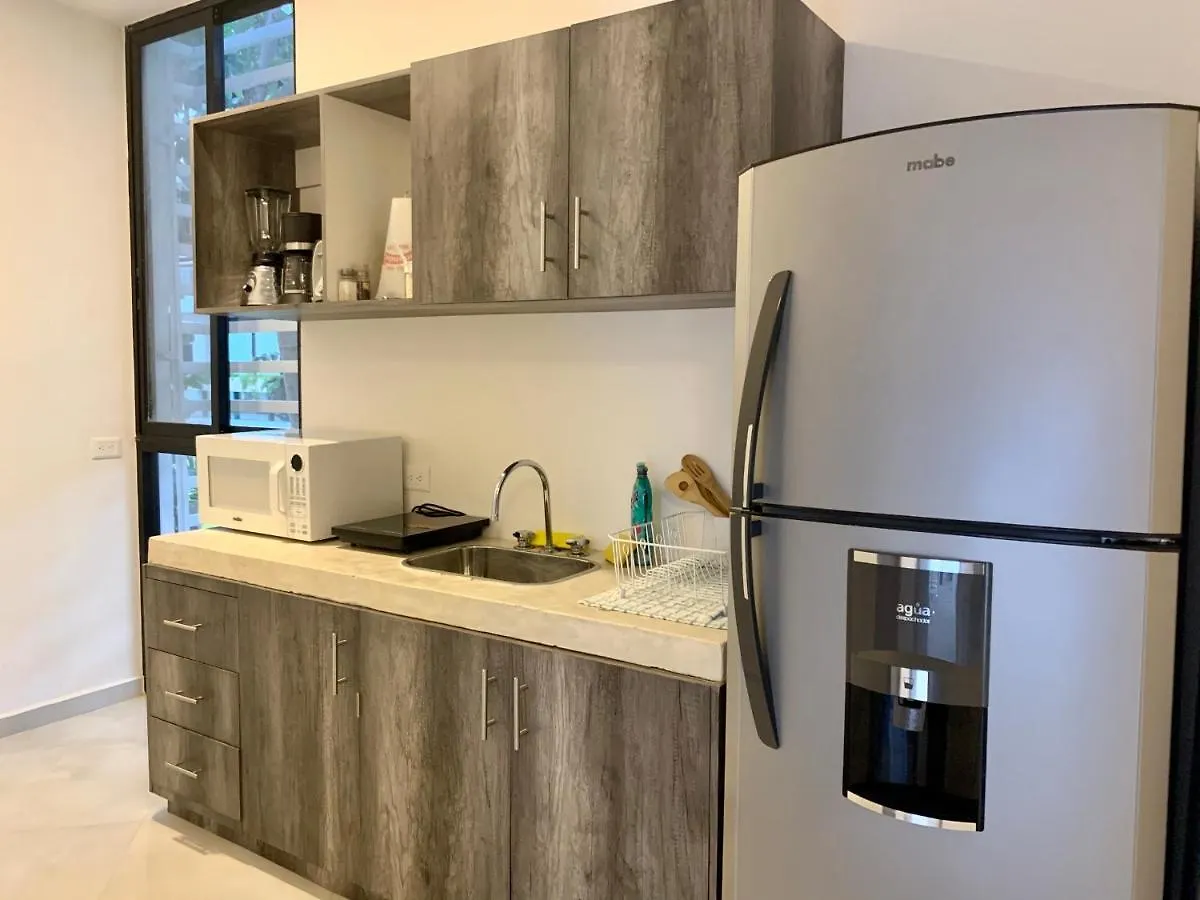 Silversands Hotel Boutique - 5Th Ave Плая-дель-Кармен 5*,  Мексика